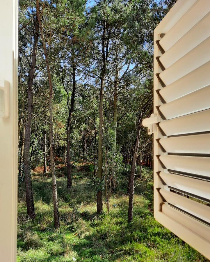 Smiling Places - Guest House In Labruge Exterior photo